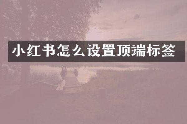 小红书怎么设置顶端标签