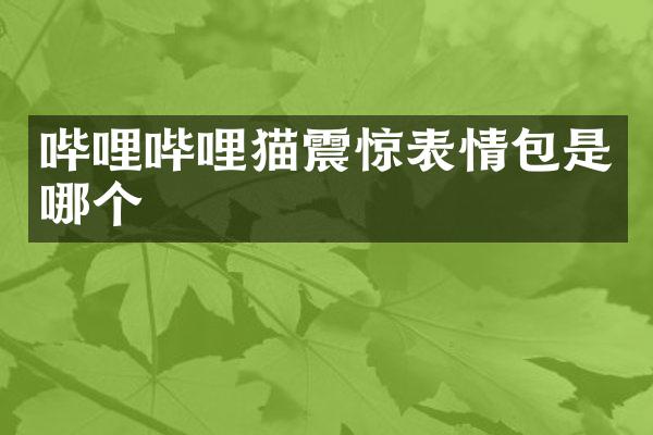 哔哩哔哩猫震惊表情包是哪个