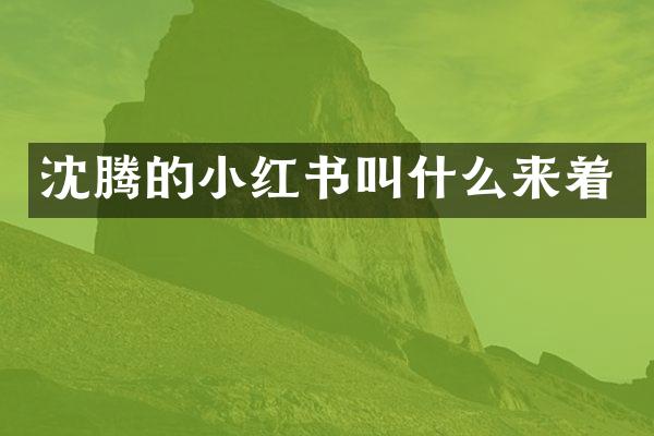 沈腾的小红书叫什么来着