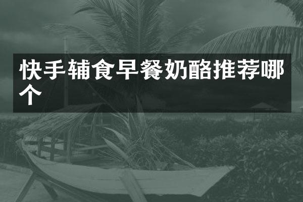 快手辅食早餐奶酪推荐哪个