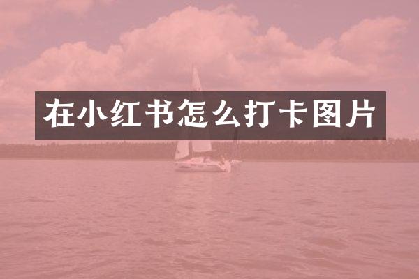 在小红书怎么打卡图片
