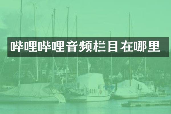 哔哩哔哩音频栏目在哪里