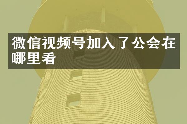 微信视频号加入了公会在哪里看