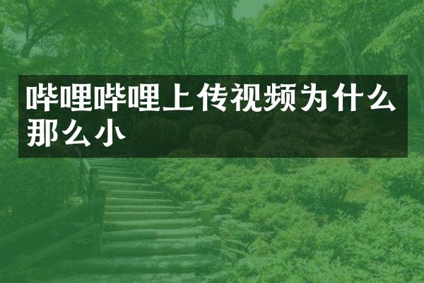 哔哩哔哩上传视频为什么那么小