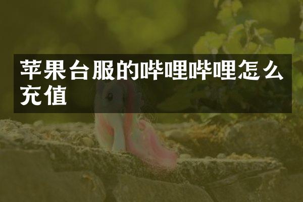 苹果台服的哔哩哔哩怎么充值