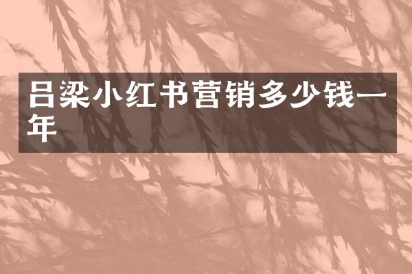 吕梁小红书营销多少钱一年