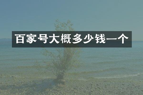 百家号大概多少钱一个