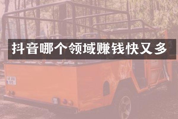 抖音哪个领域赚钱快又多