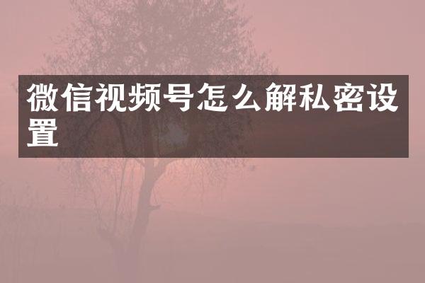 微信视频号怎么解私密设置