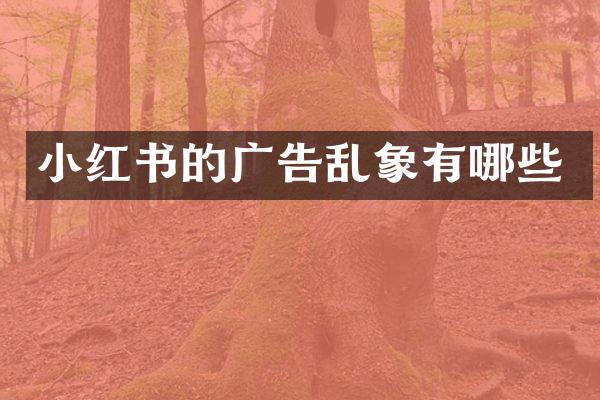 小红书的广告乱象有哪些