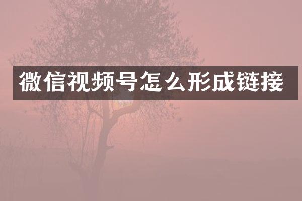 微信视频号怎么形成链接