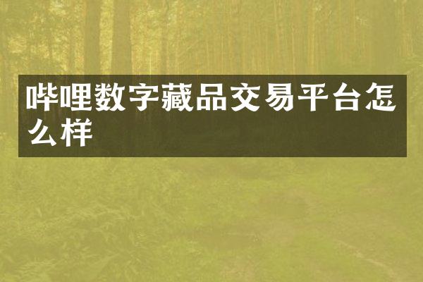 哔哩数字藏品交易平台怎么样