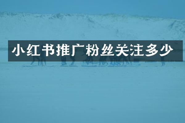 小红书推广粉丝关注多少