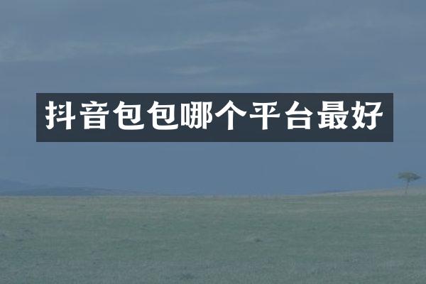 抖音包包哪个平台最好