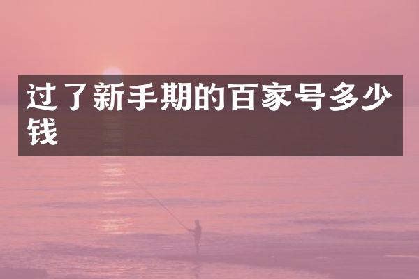 过了新手期的百家号多少钱