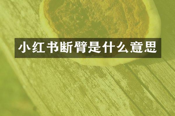 小红书断臂是什么意思