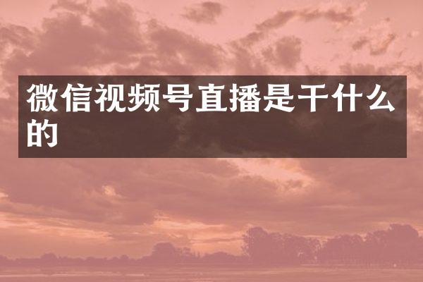 微信视频号直播是干什么的