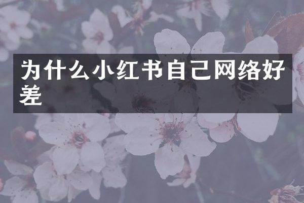 为什么小红书自己网络好差