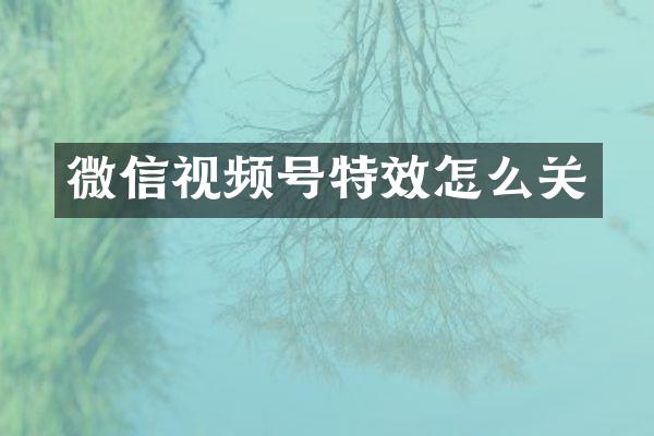 微信视频号特效怎么关