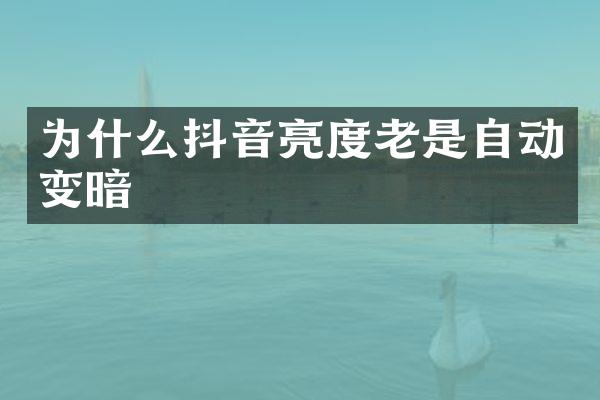 为什么抖音亮度老是自动变暗
