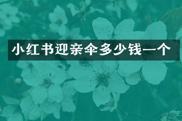 小红书迎亲伞多少钱一个