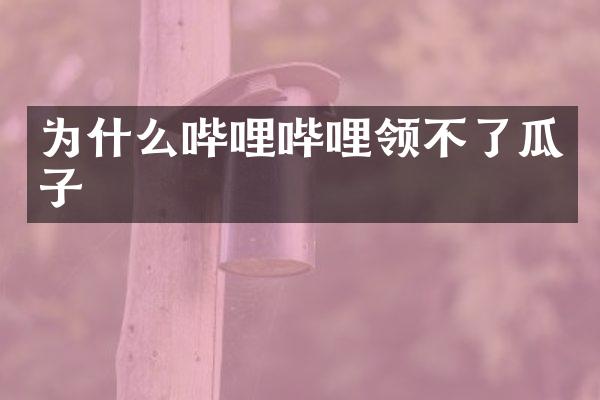 为什么哔哩哔哩领不了瓜子