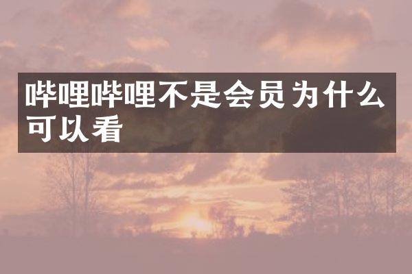 哔哩哔哩不是会员为什么可以看