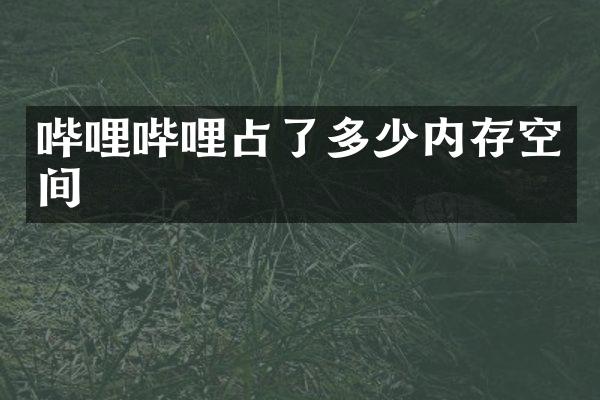 哔哩哔哩占了多少内存空间