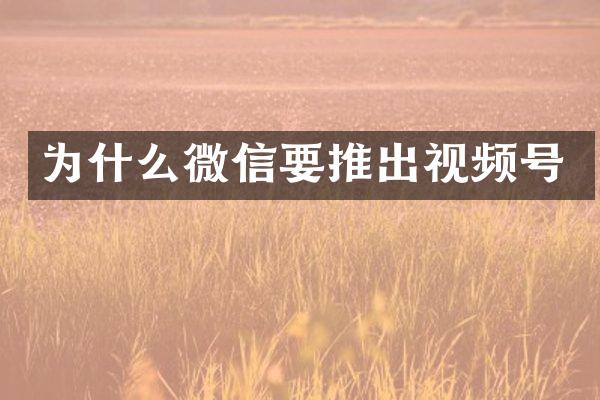 为什么微信要推出视频号