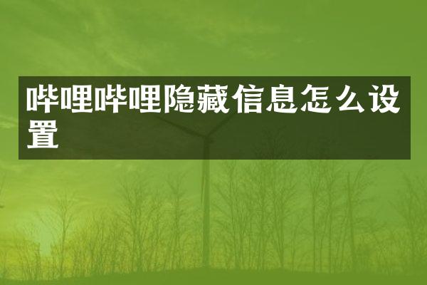 哔哩哔哩隐藏信息怎么设置