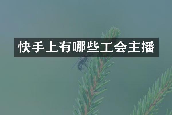 快手上有哪些工会主播