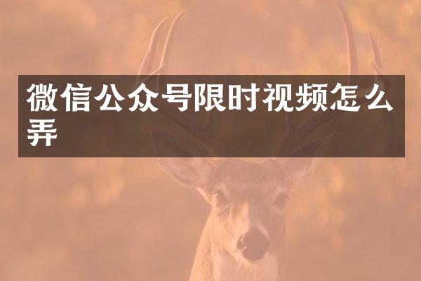 微信公众号限时视频怎么弄