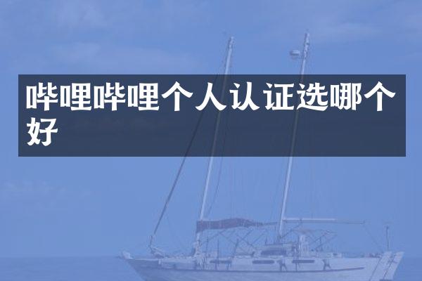 哔哩哔哩个人认证选哪个好