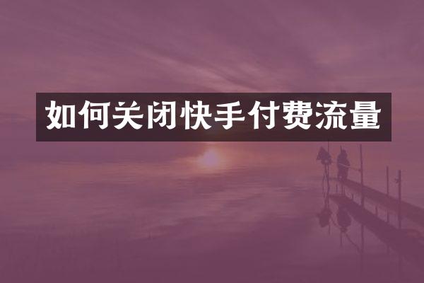 如何关闭快手付费流量
