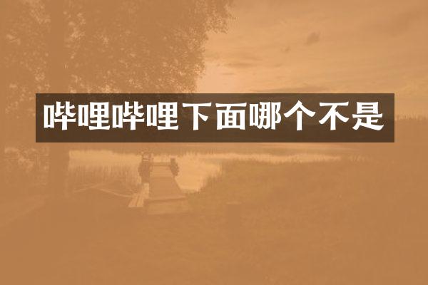 哔哩哔哩下面哪个不是