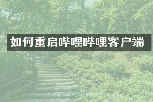 如何重启哔哩哔哩客户端