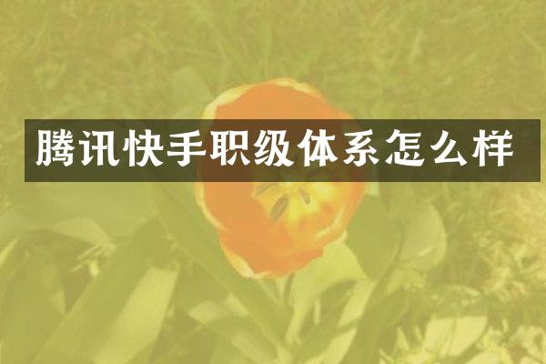 腾讯快手职级体系怎么样