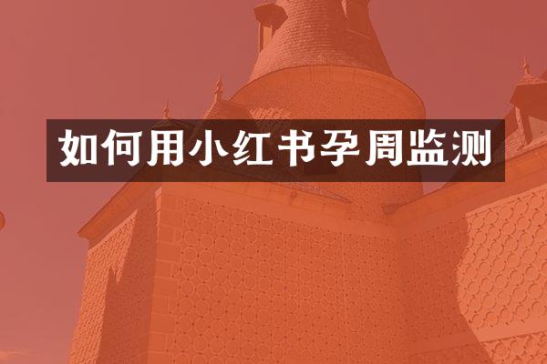 如何用小红书孕周监测