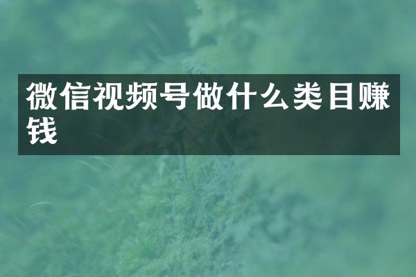 微信视频号做什么类目赚钱