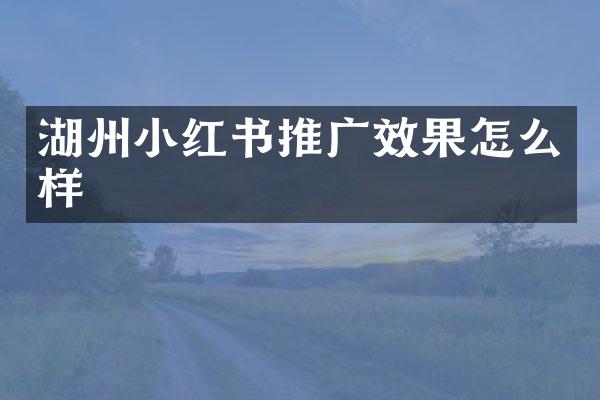 湖州小红书推广效果怎么样