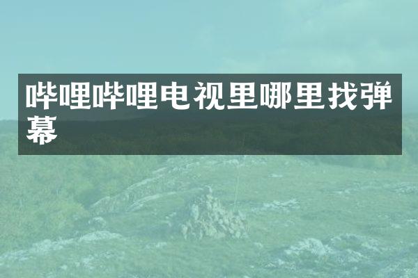 哔哩哔哩电视里哪里找弹幕