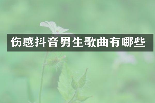 伤感抖音男生歌曲有哪些