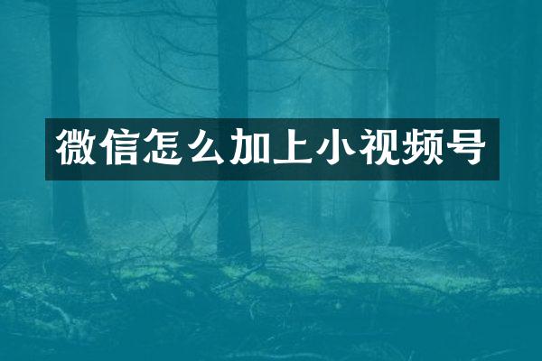 微信怎么加上小视频号
