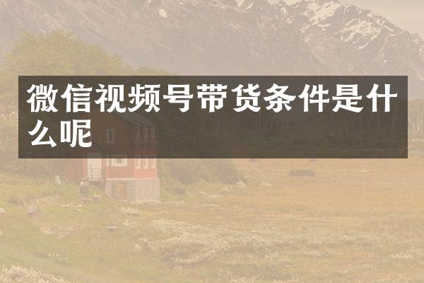 微信视频号带货条件是什么呢