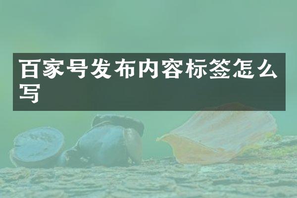 百家号发布内容标签怎么写