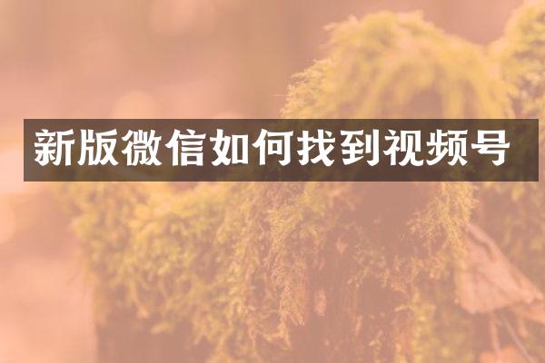 新版微信如何找到视频号