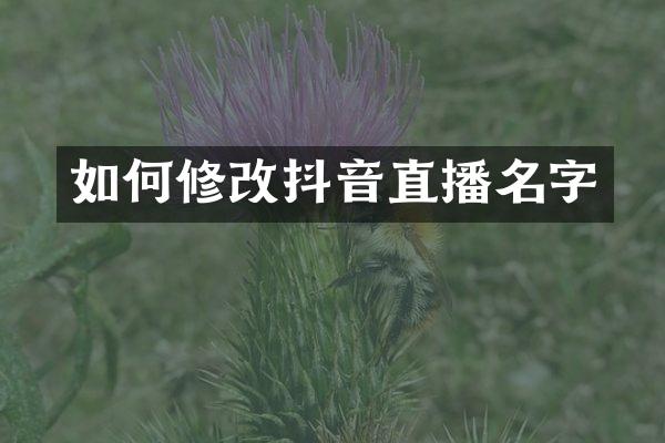 如何修改抖音直播名字
