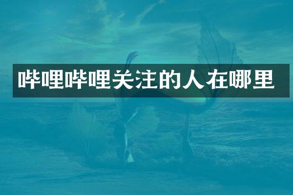 哔哩哔哩关注的人在哪里