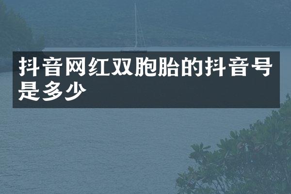 抖音网红双胞胎的抖音号是多少
