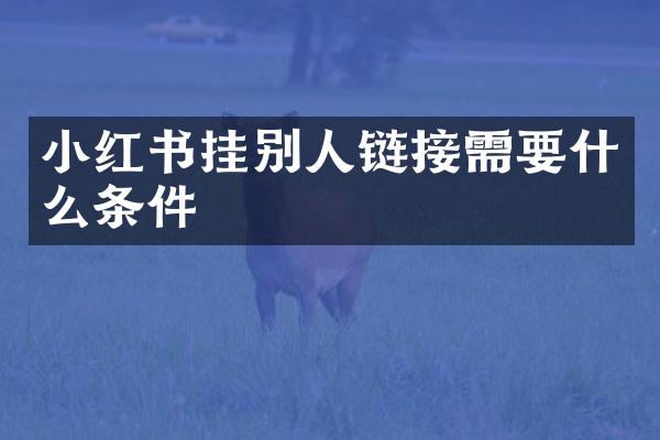 小红书挂别人链接需要什么条件